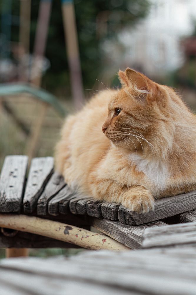 Photograph by Dmitry Dash