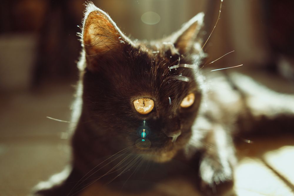 Photograph by Артём Корнев