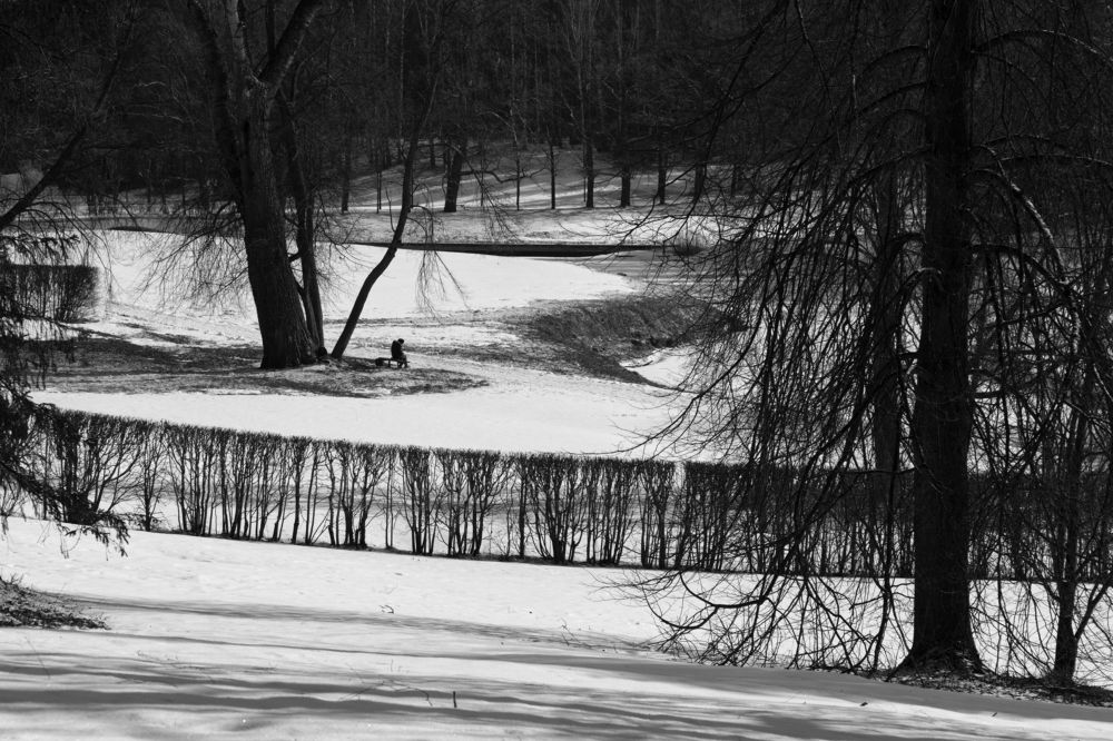 Photograph by Дмитрий Иванов