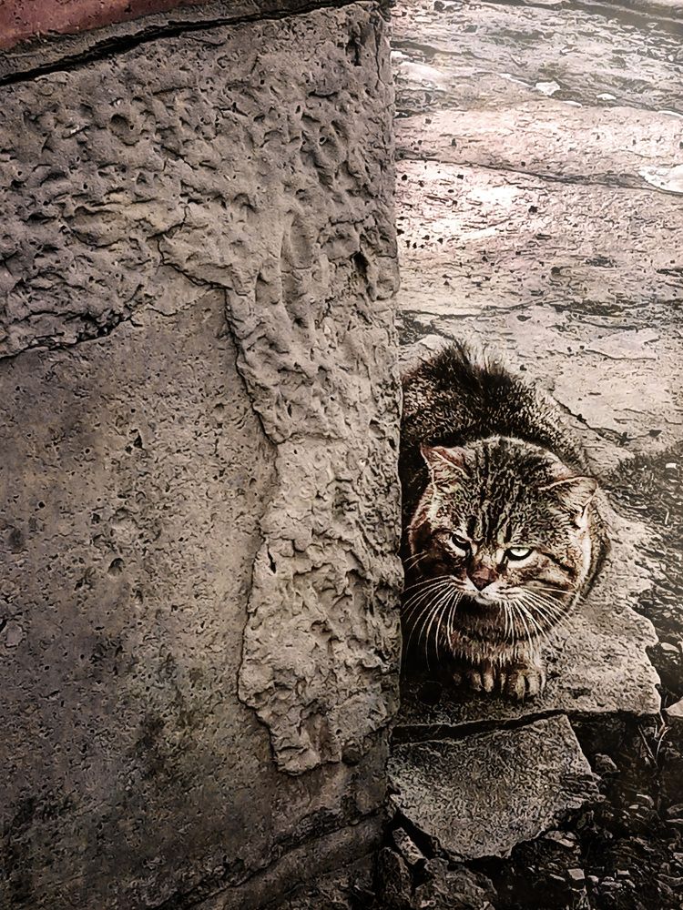 Photograph by Светлана Зубанова