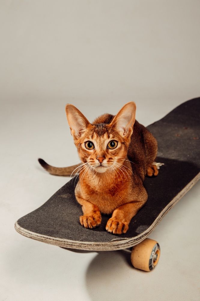 Photograph by Олеся Ершова