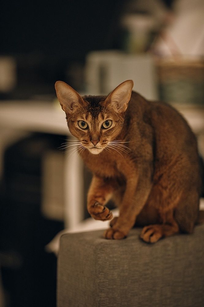 Photograph by Олеся Ершова