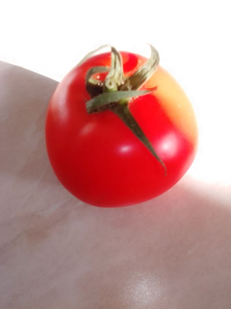 Фотография автора Irina Mihailovskaya