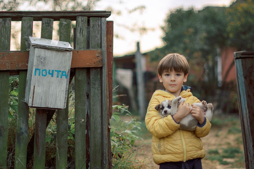 Фотография автора Elena Ilnitskaya