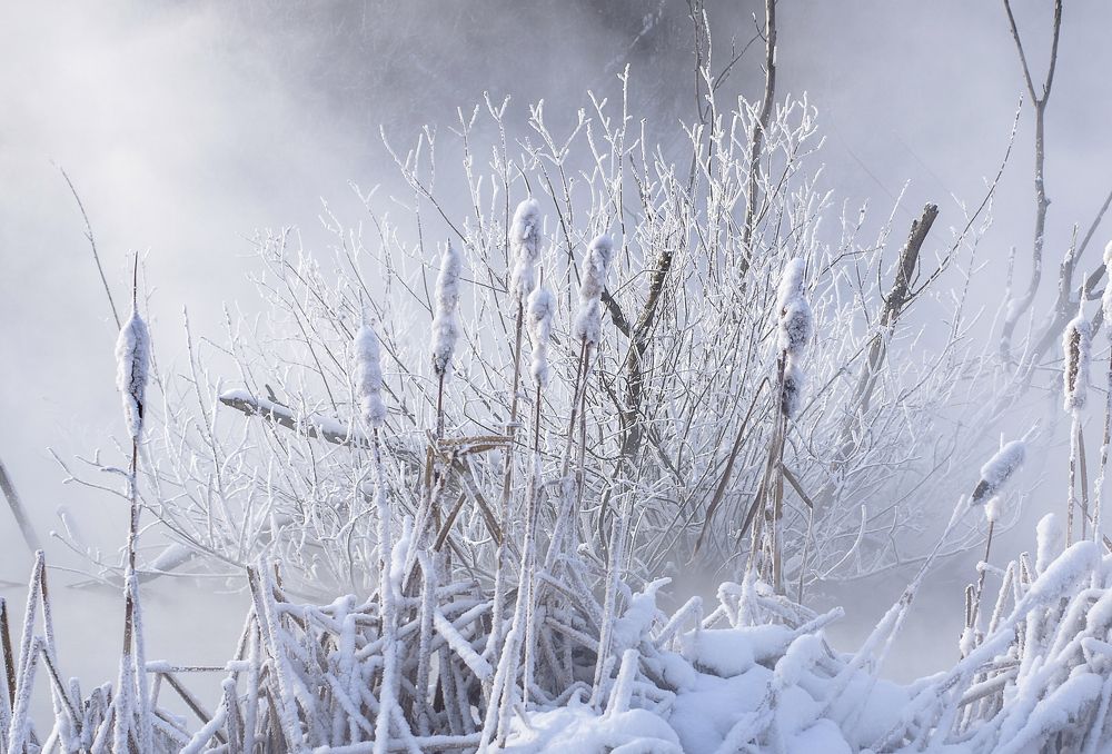 Photograph by Михаил Измайлов