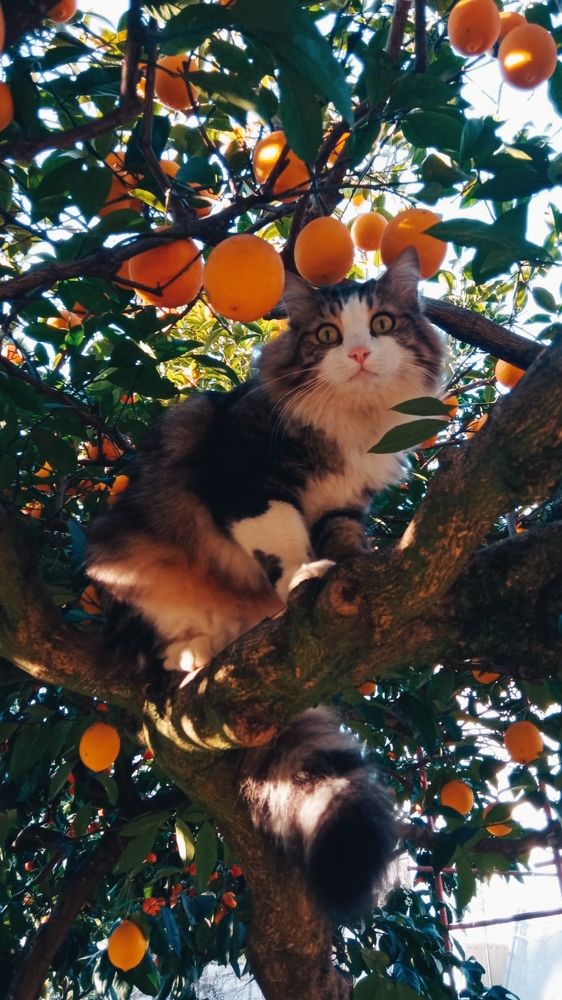 Photograph by Ирина Кокшарова