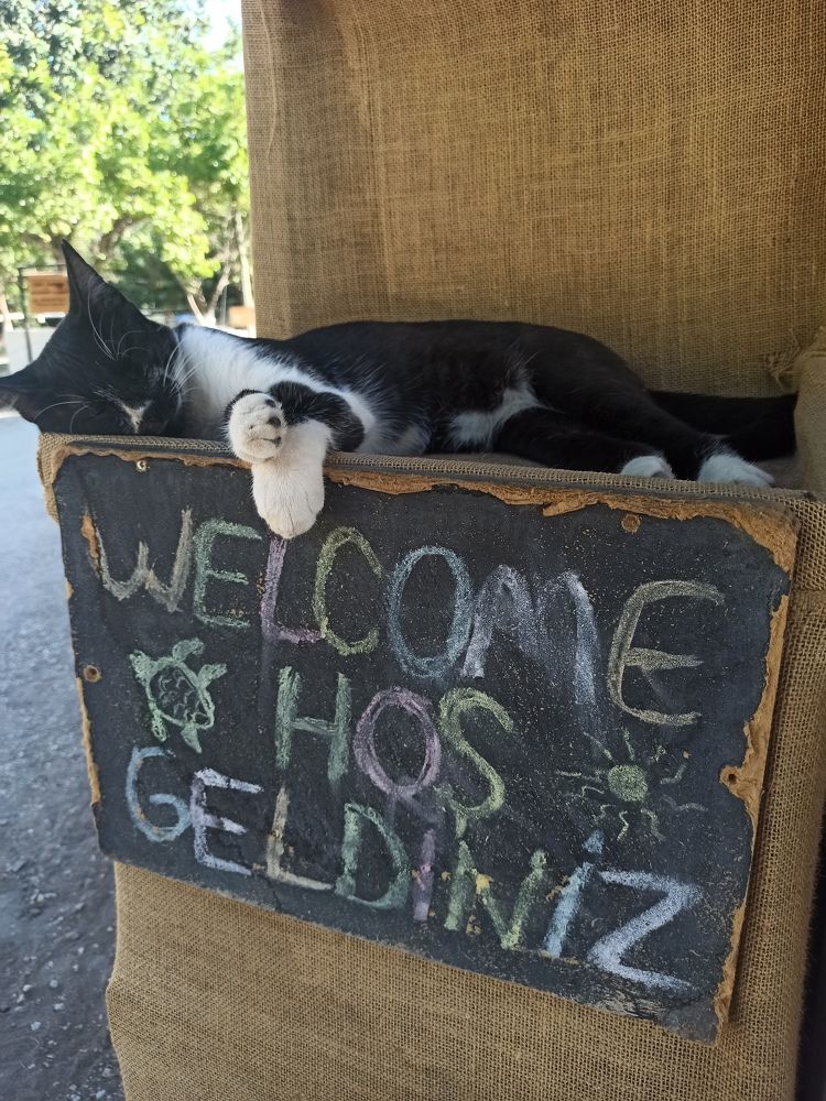 Photograph by Ирина Кокшарова