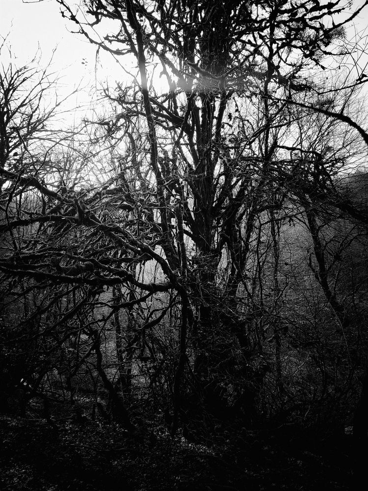 Photograph by Abdollah Fallah