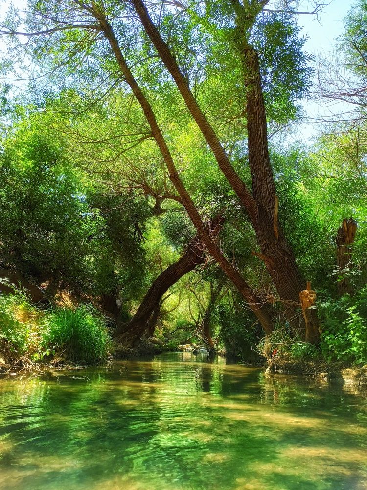 Photograph by Pourya Darband Yourdshahi