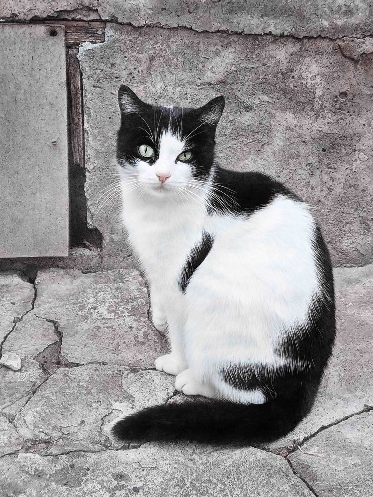 Photograph by Светлана Зубанова