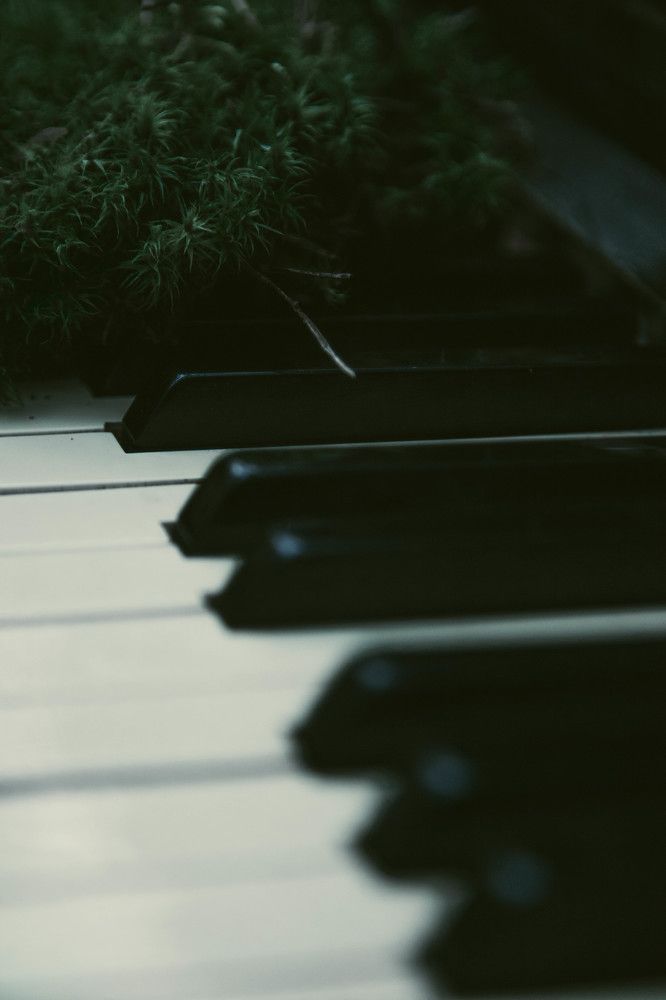 Photograph by Кирилл Амосов