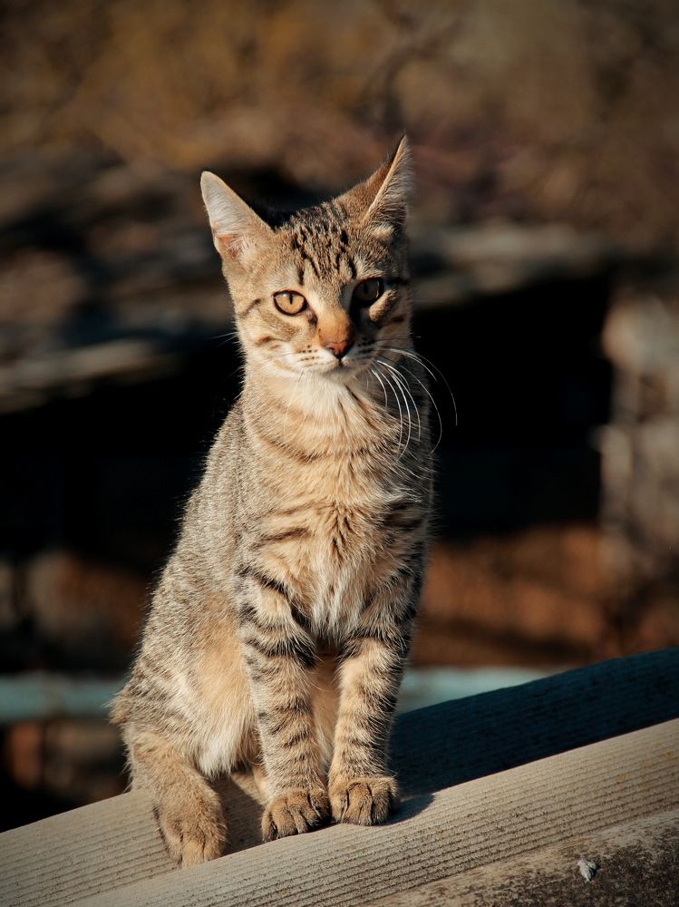 Photograph by Татьяна Долгушева