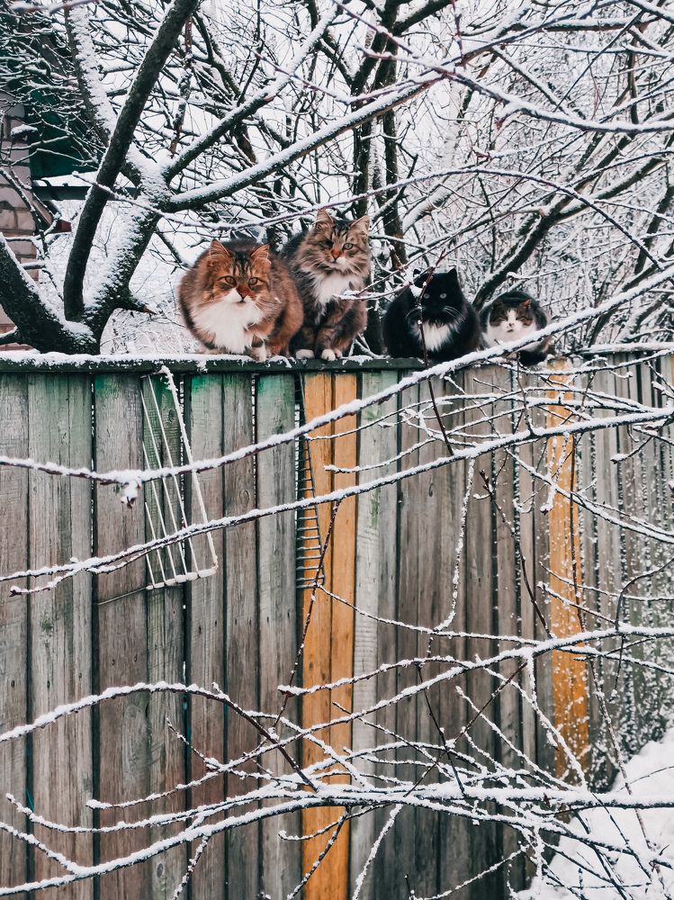 Photograph by Алина Кулыгина