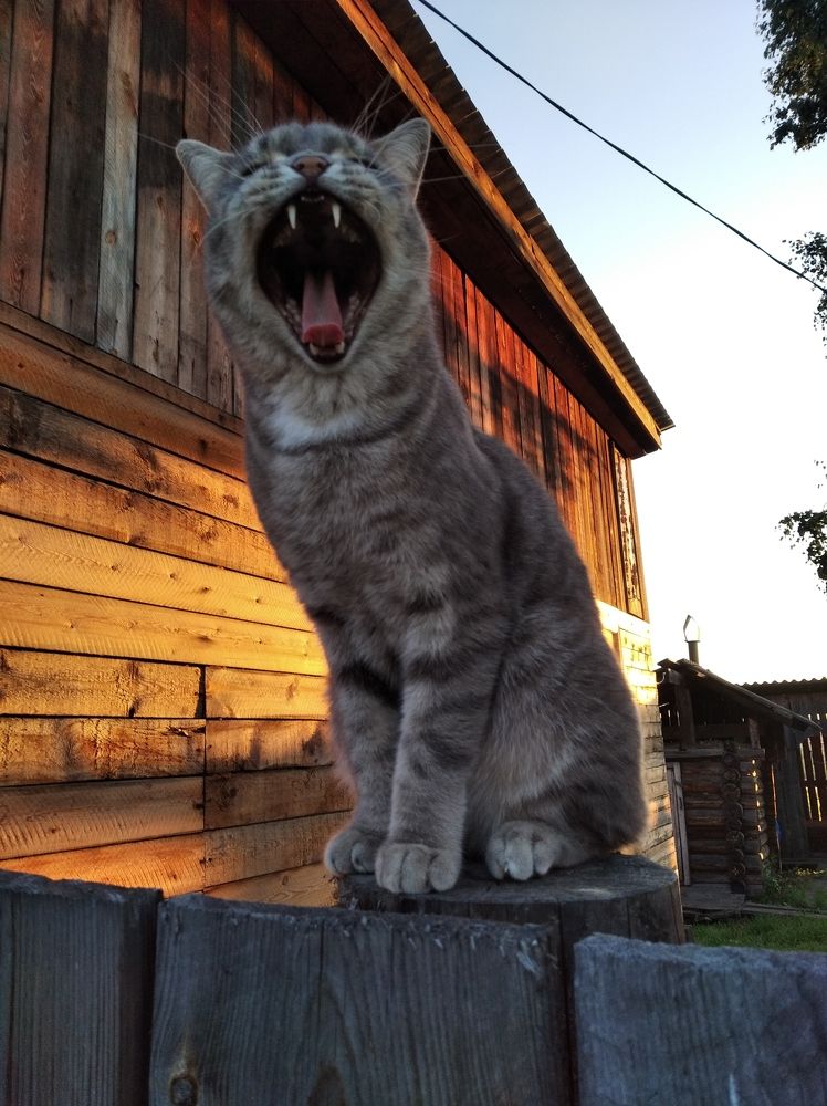 Фотография автора Анастасия