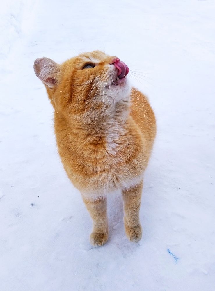 Фотография автора Анастасия