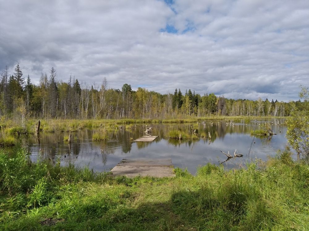 Фотография автора Анастасия