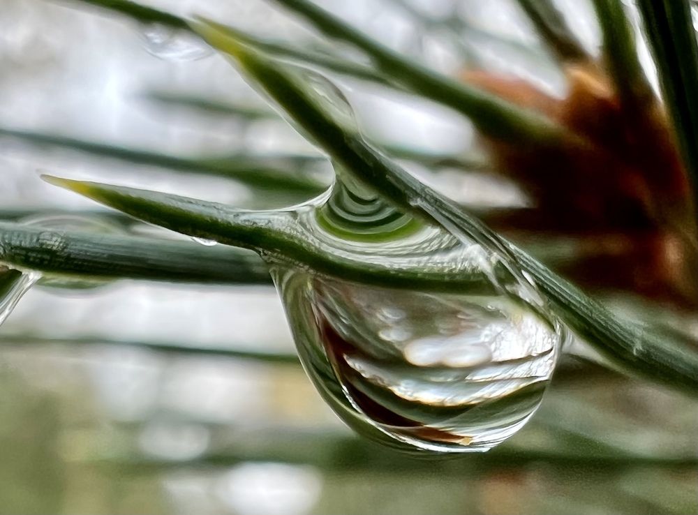 После дождя