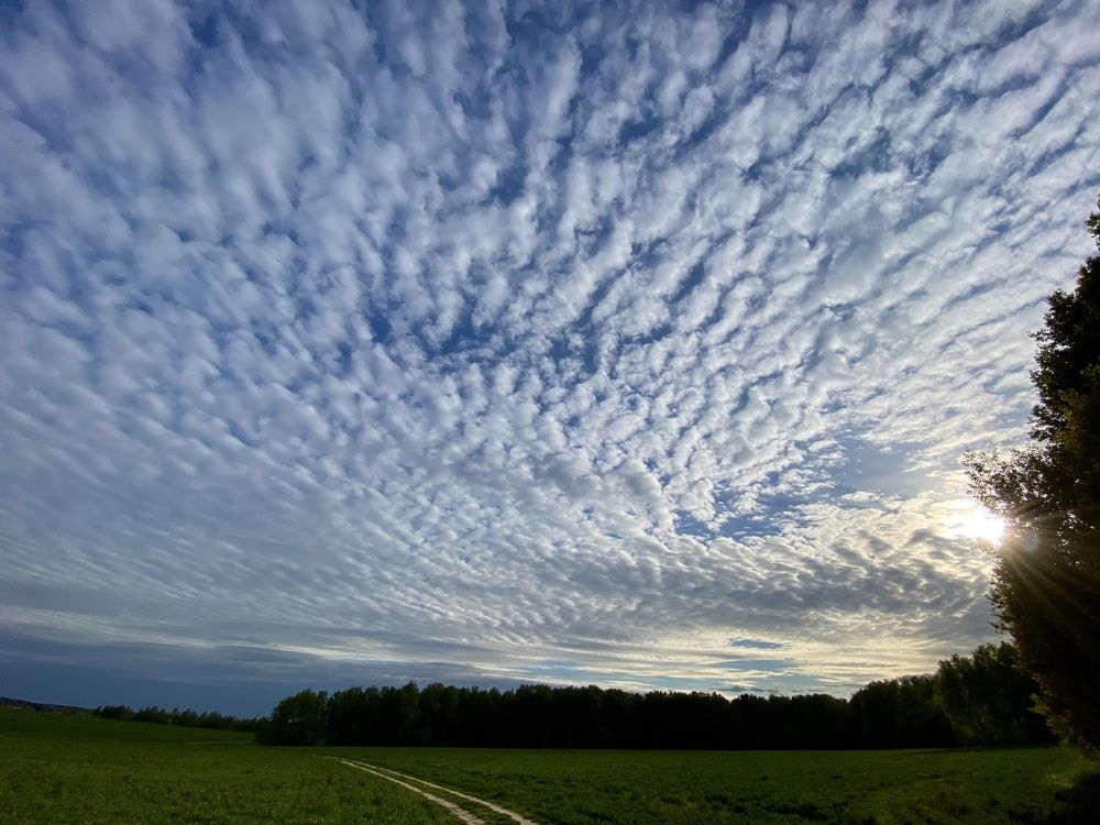 Photograph by Анна