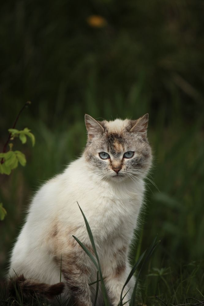 Photograph by Vladimir Kostyuchkov
