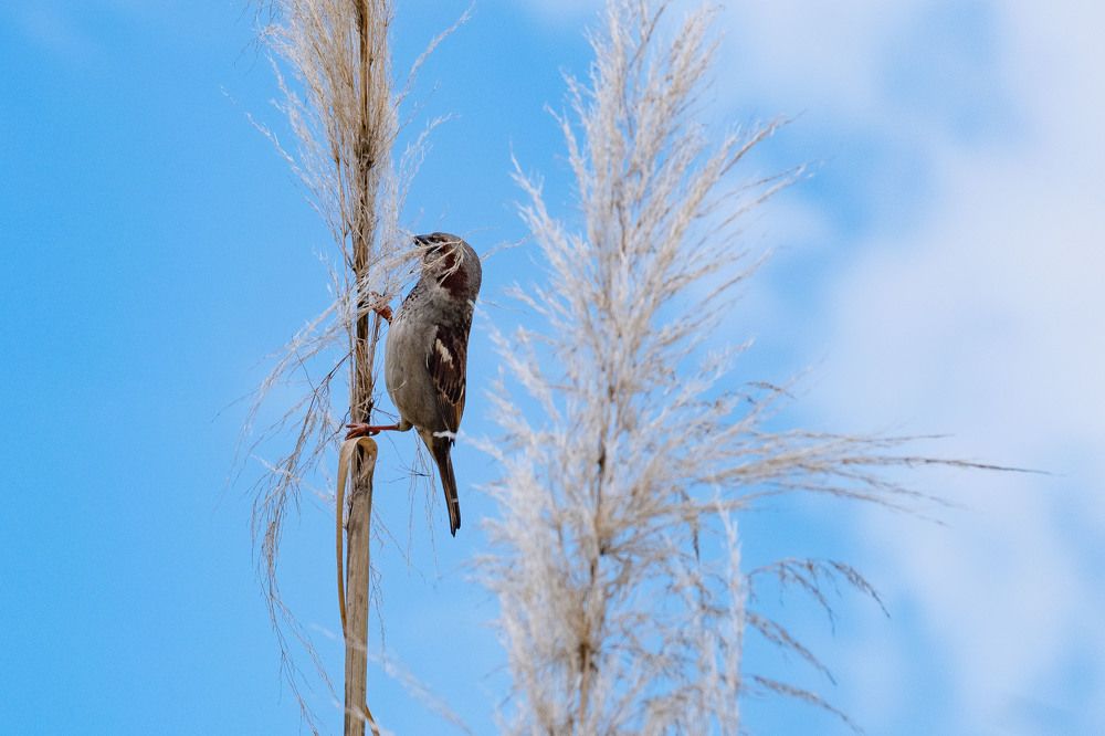 Photograph by Янина Найденцева