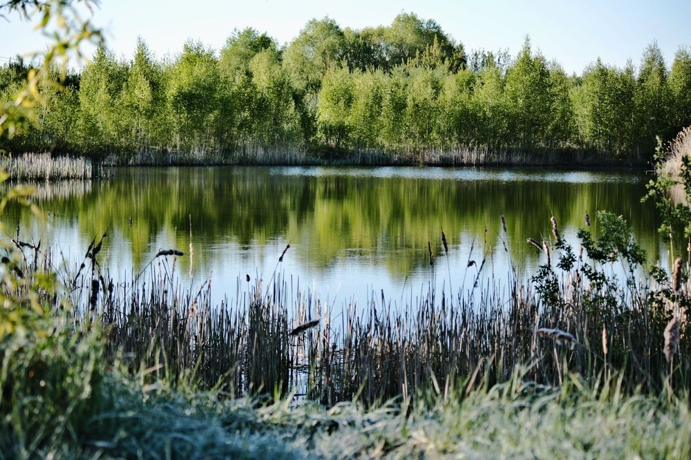 Photograph by Vladimir Kostyuchkov