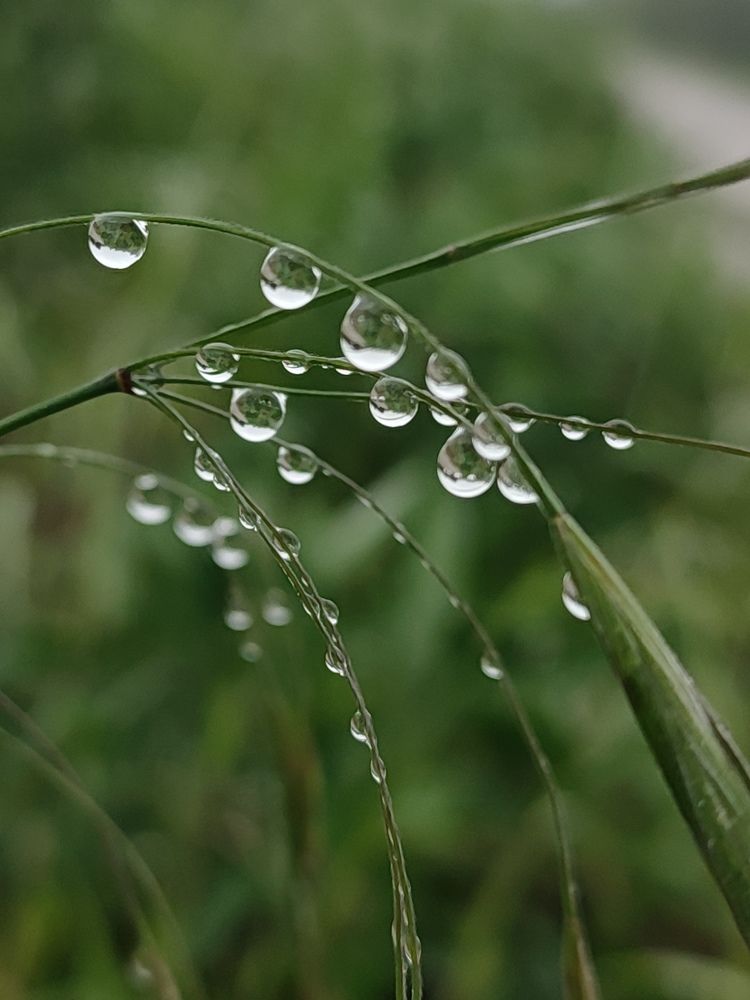 Photograph by Татьяна Долгушева