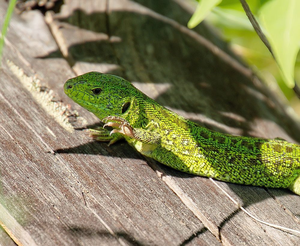 Photograph by Василий Быстрицкий