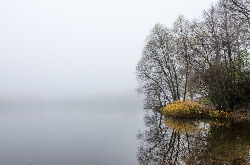 Photograph by Татьяна