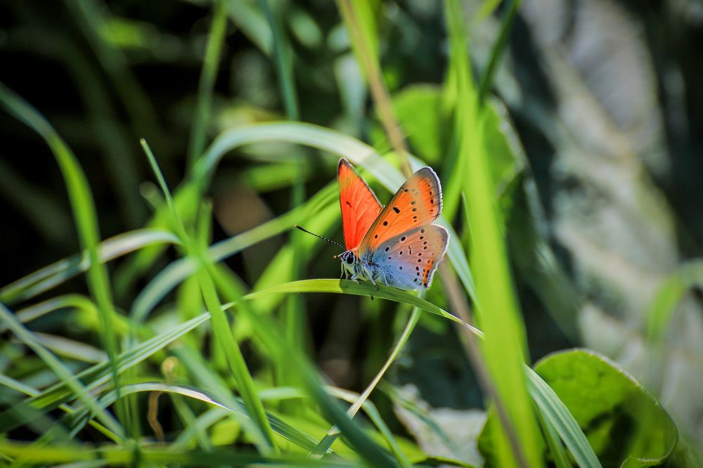 Фотография автора Юрий Фефилов