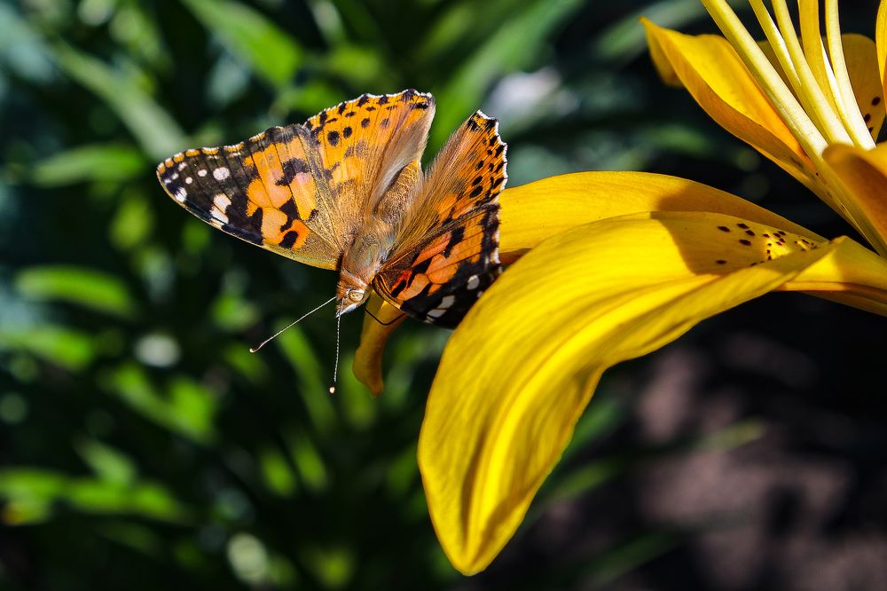 Фотография автора Андрей Потапов