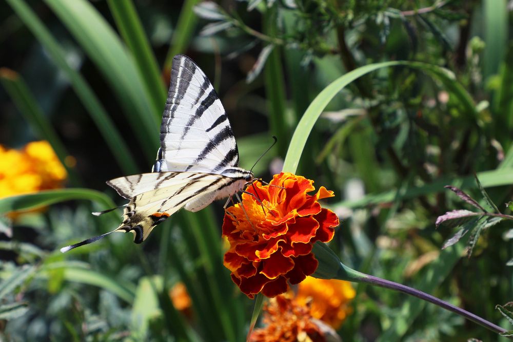 Фотография автора Андрей Потапов