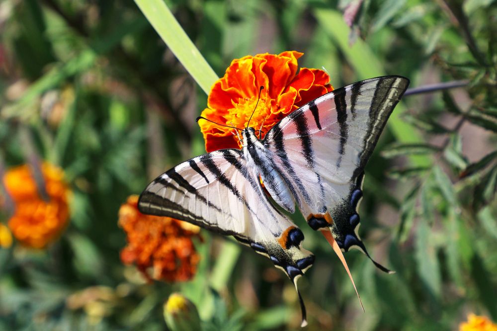 Фотография автора Андрей Потапов