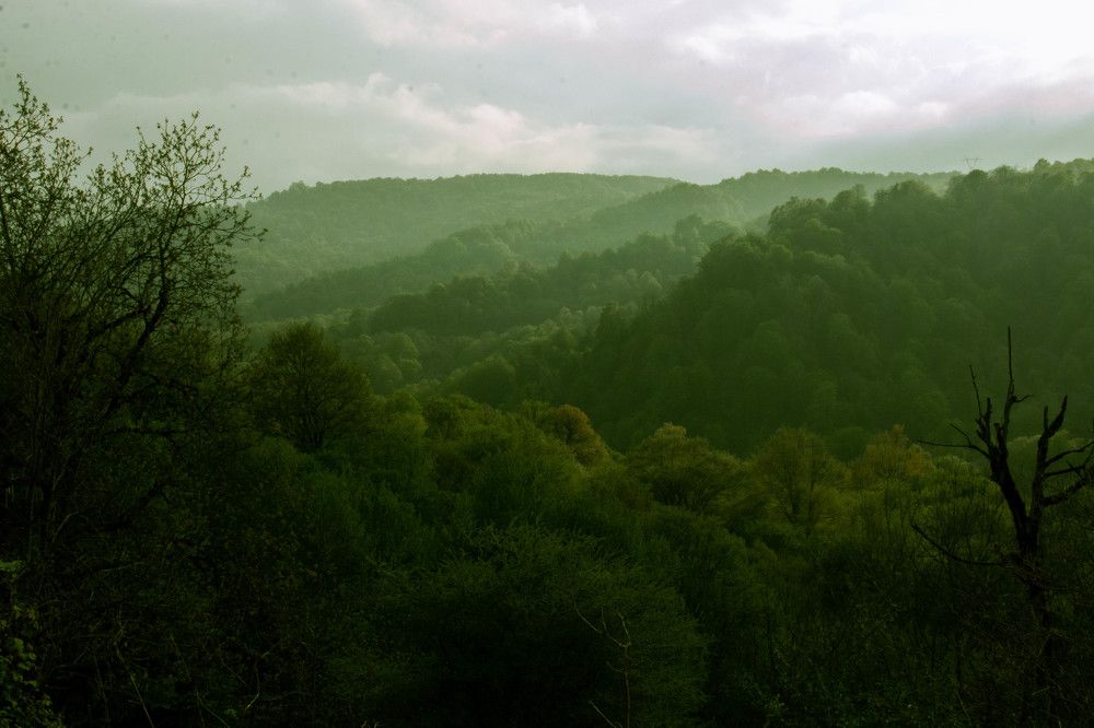 Photograph by Abdollah Fallah