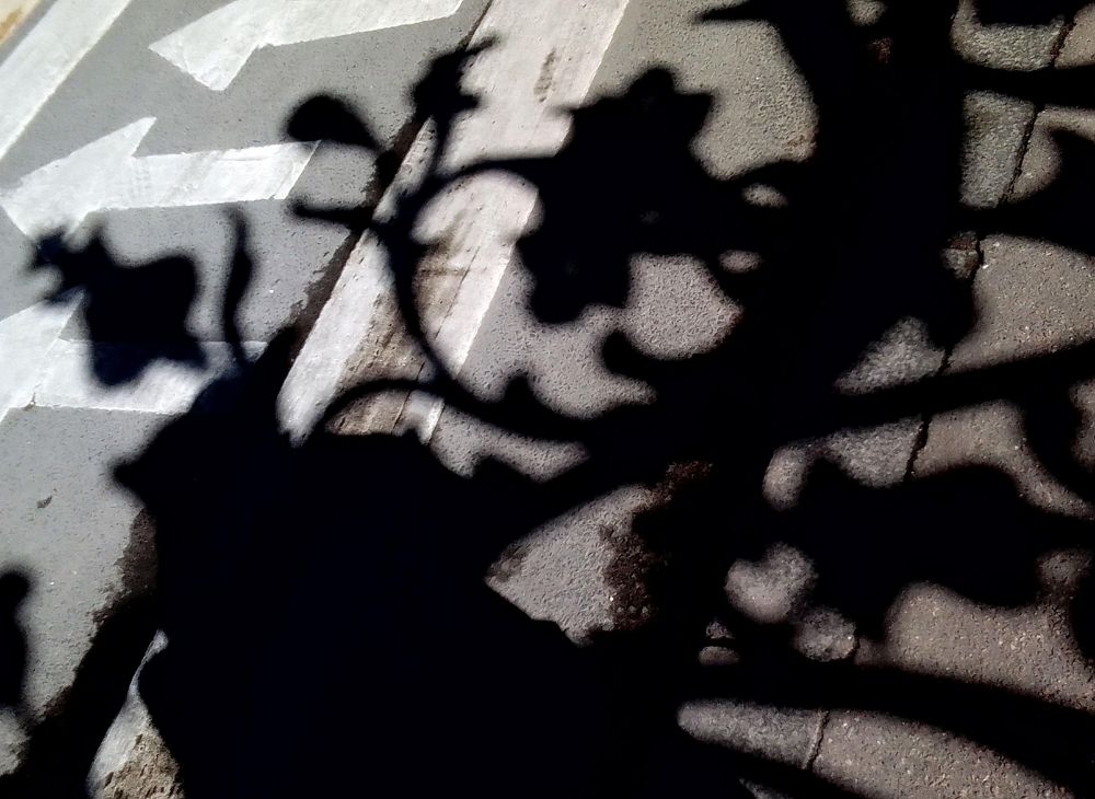 Фотография автора Irina Mihailovskaya