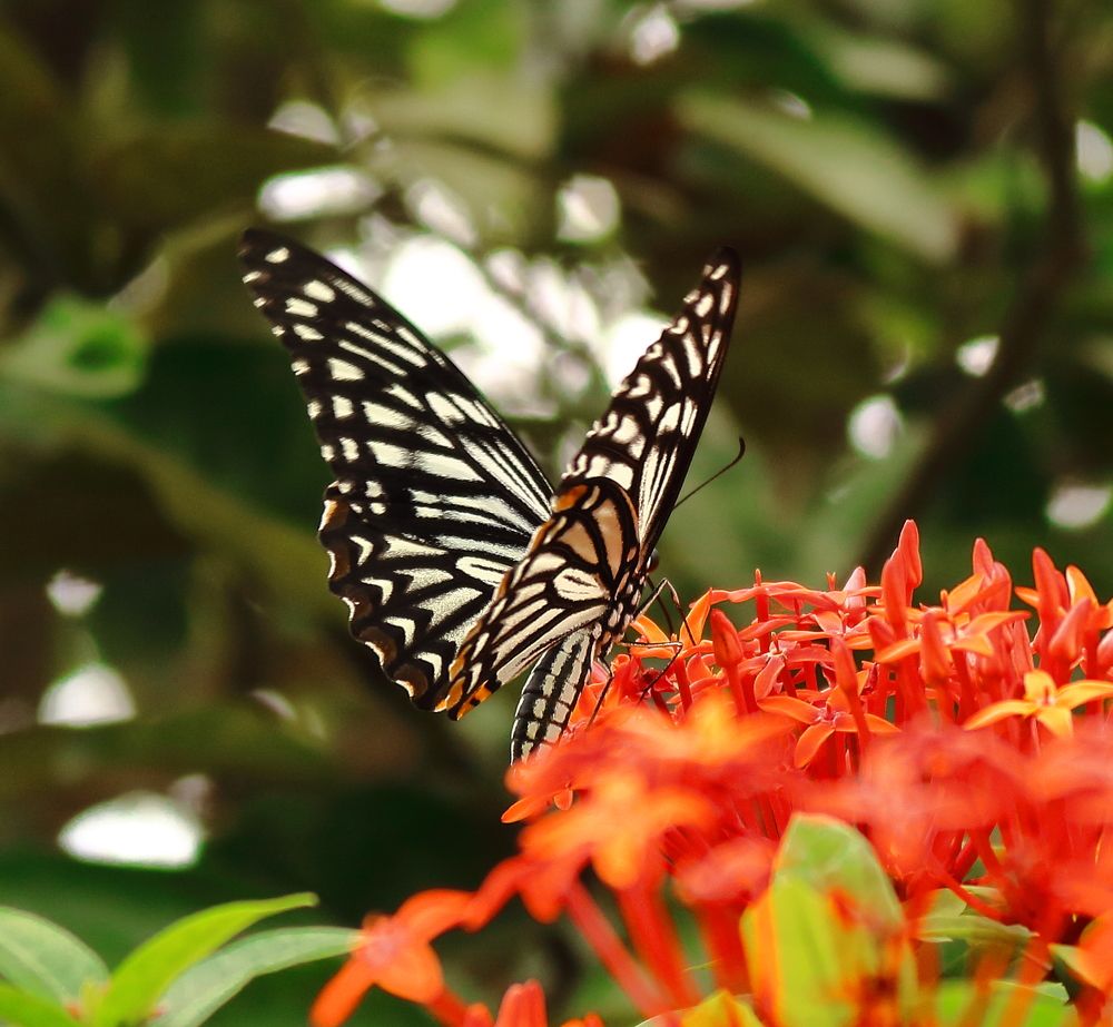 Photograph by Jishan Ahmed