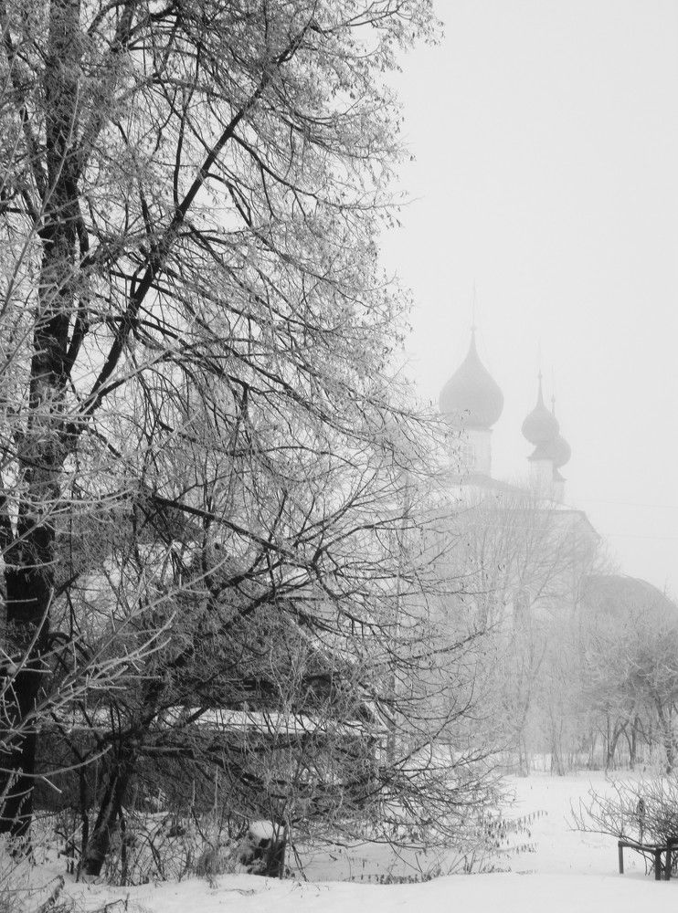 Photograph by Михаил Попов