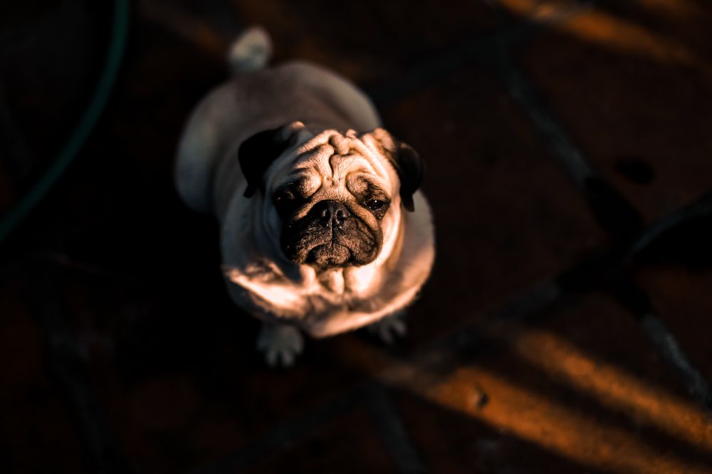 Photograph by Bùi Nguyễn