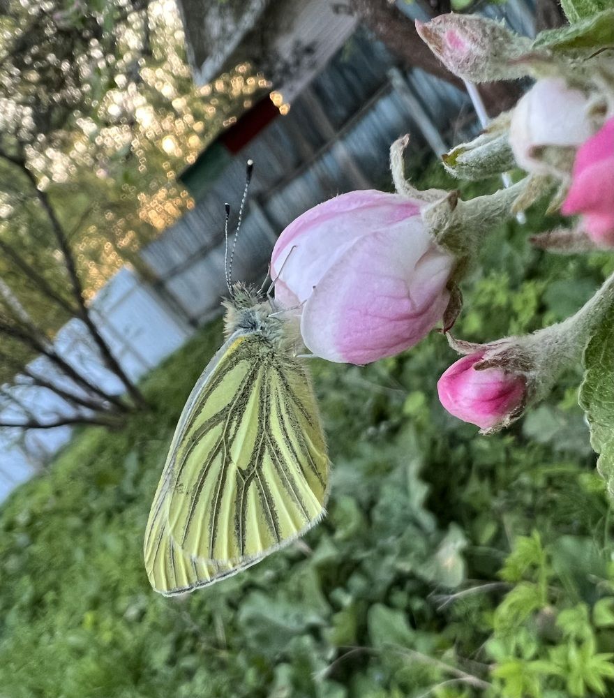 Photograph by Анна