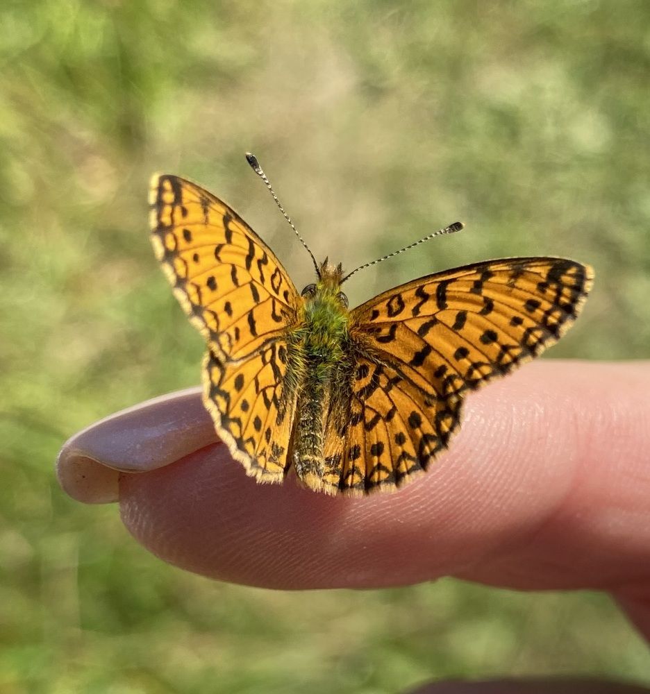 Photograph by Анна