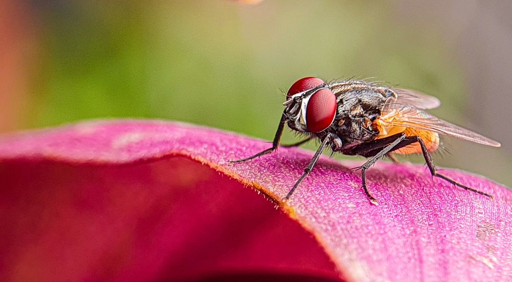 Photograph by Anbazhagan