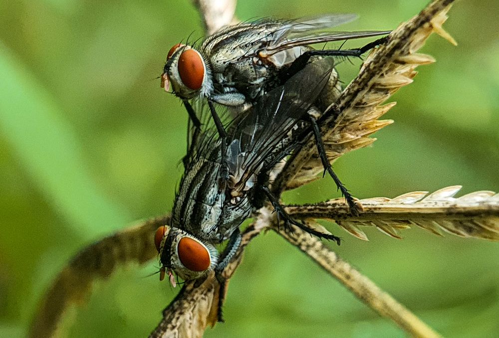 Photograph by Anbazhagan