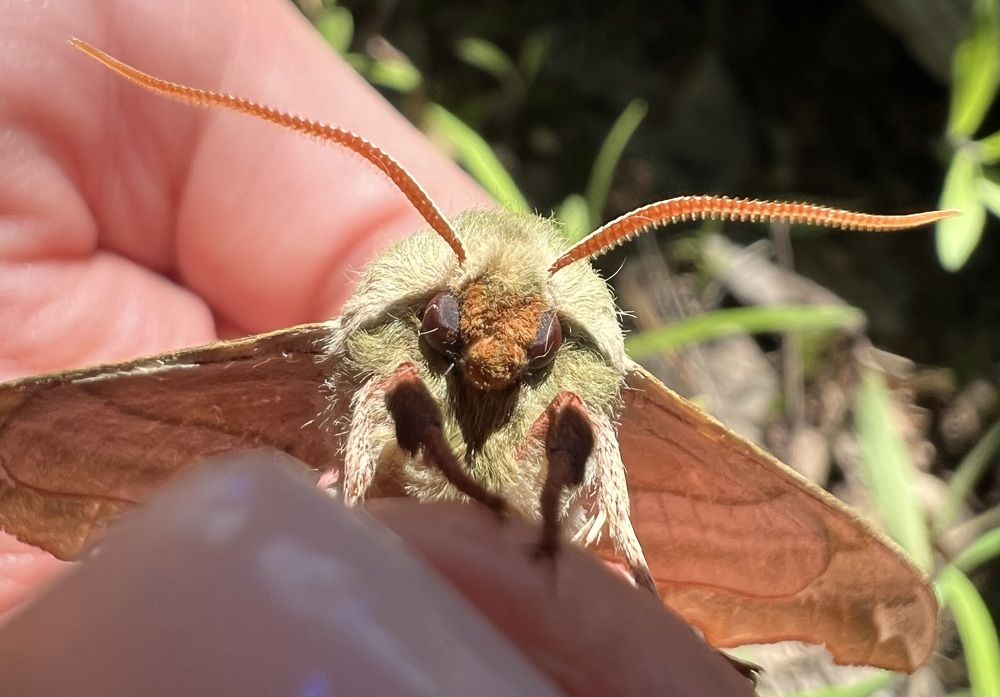 Photograph by Анна