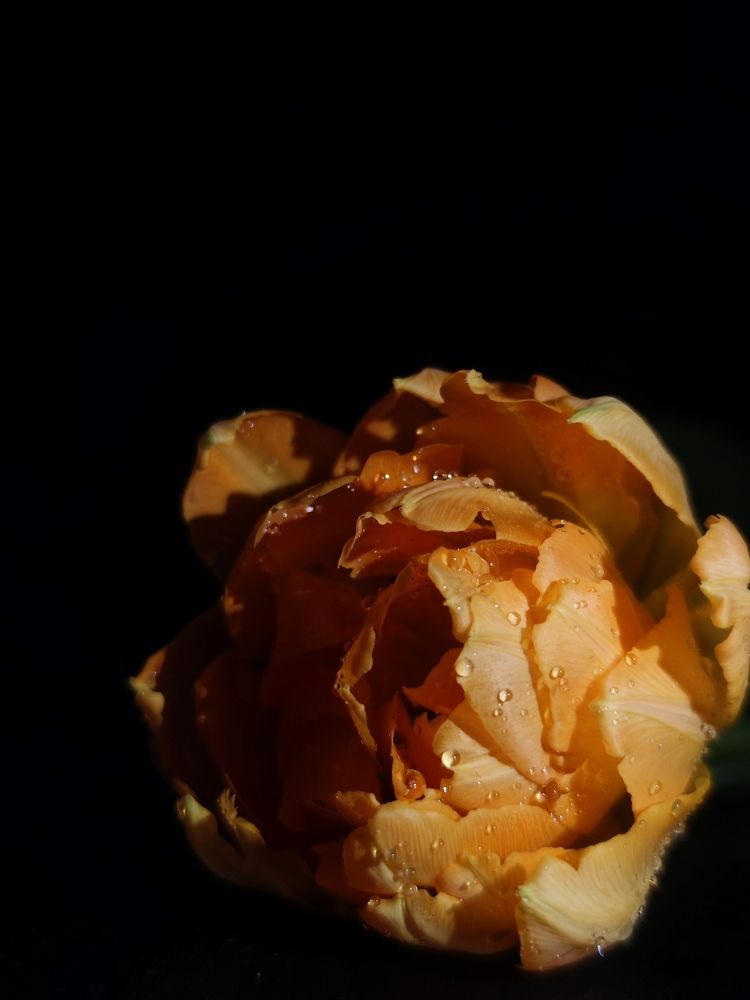 Фотография автора Iri