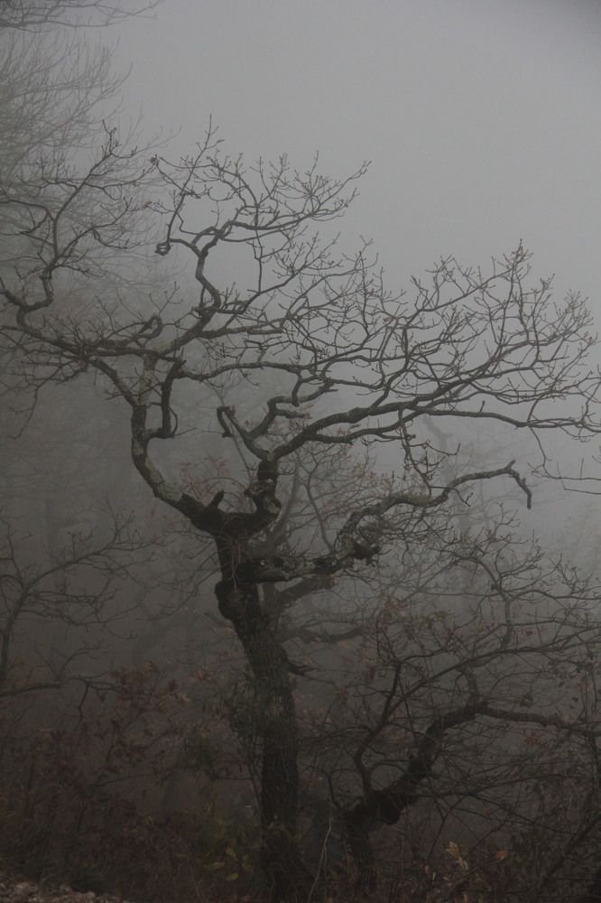 Photograph by Татьяна Долгушева