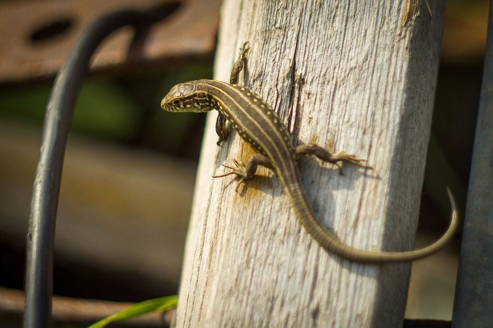 Фотография автора Ivan Karpoff