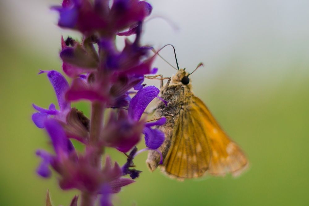 Фотография автора Ivan Karpoff