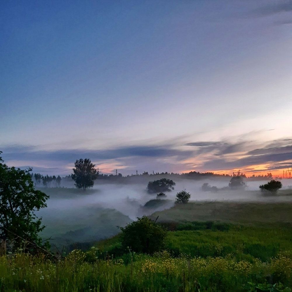 Вечерний туман