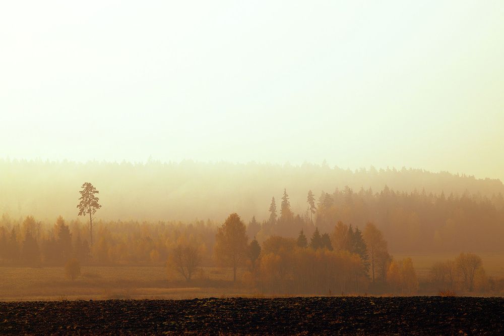 Фотография автора Михаил Копанс