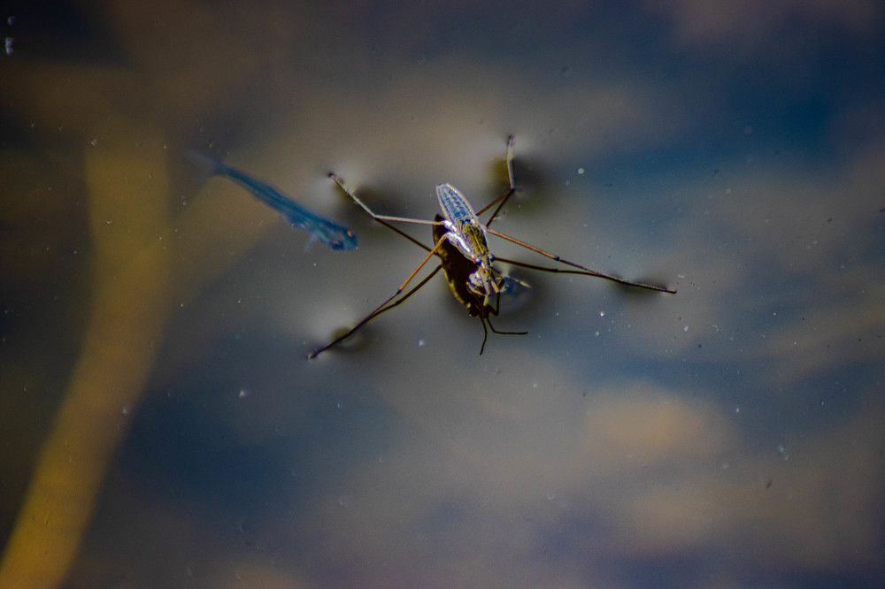 Photograph by Vladimir Voronyuk