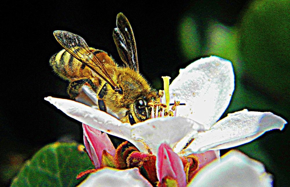 Фотография автора Сергей Рапопорт